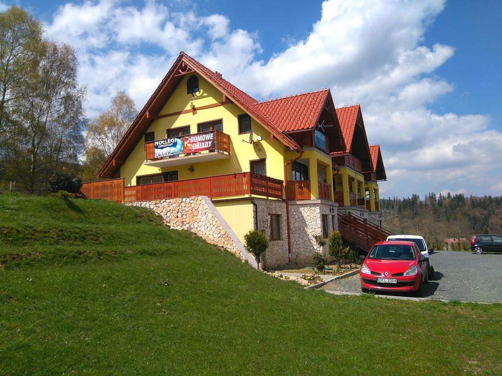 Pensjonat Zielone Wzgorze Boleslawow Stronie Śląskie Buitenkant foto